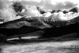 IR120_Scan-110220-0001.jpg