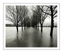 4x5-overstroming-ijssel017.jpg