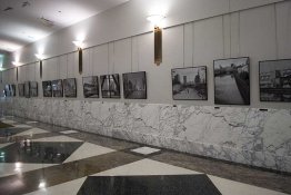 Library-1.jpg
