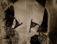 stilllifeNo Blue.jpg