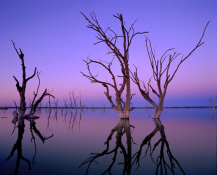 LakeBonneyAfterglow_BarmeraSA.png LakeBonneyAfterglow_BarmeraSA.png