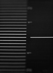 IG_1712_holgerferoudj01focus.jpg