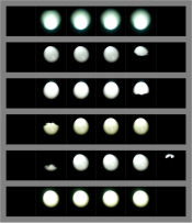 zenzanon_50mm_strips.png