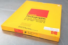 IMG_4260.jpg