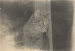 A0FA3528-A250-43A6-B472-45683403A36E.jpeg