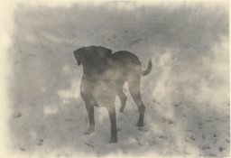 260C326E-6B98-4688-A654-BF5F6B237F2E.jpeg