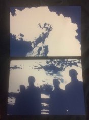 successful cyanotype.jpg