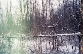 img125 copy.jpg