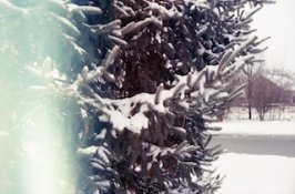 img127 copy.jpg