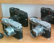 IMAG8559-1.jpg