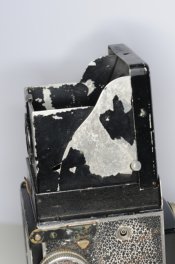 DSC_2920.jpg