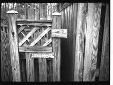 HF Fence 1 over  002 copy.jpg