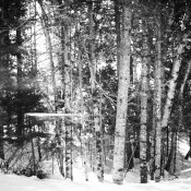 Ms400371-R1-E007.jpg