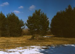 Provia100fPushed+2010-Kopie 1.jpg