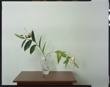 File0844.jpg