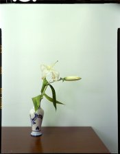 File0846.jpg