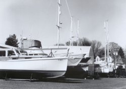 Milford 4.jpg