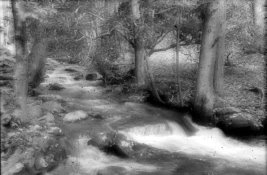River-neg-scan-01.jpg