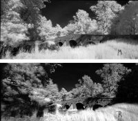 IR-MacoVsRollei.jpg