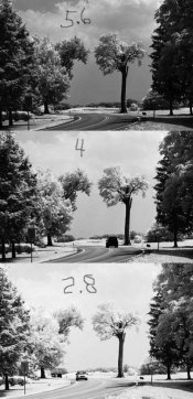 TestShots.jpg