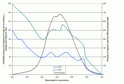 linearphotopics.gif