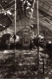Greenhouse#1.jpg