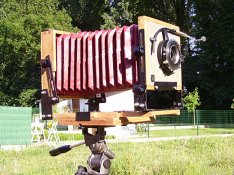 265mm.jpg