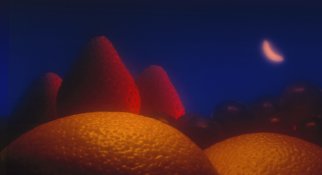 fruit landscape.jpg