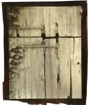 shed door.jpg