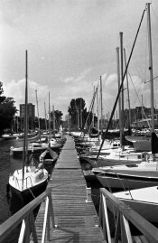 Sail Boats 1.jpg