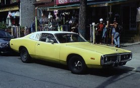 Old Muscle.jpg