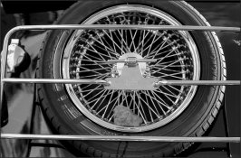 canonet-1.jpg