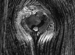 knotted_wood_bodie copy.jpg