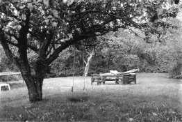 Garden.JPG