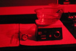 img_1470_small.jpg