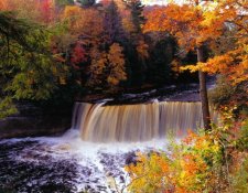 fall001.jpg