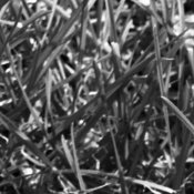 Detail1.jpg
