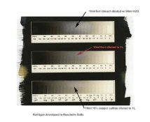 Bleach-test (2 of 4).jpg
