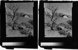 Bleach-test (1 of 4).jpg