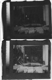 Bleach-test (3 of 4).jpg