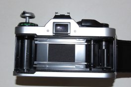 DSC_5268.JPG