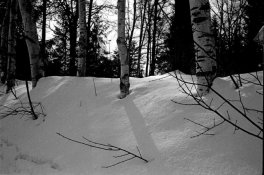 crop0268  agfa apx 400 @ 320 D76_2.jpg