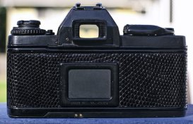 Clipboard Image (2).jpg