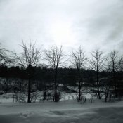 PanF : Steiner-Bayreut 2,9-75.jpg