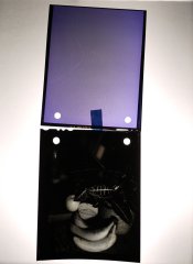 ScreenPlate & Positive Separate.jpg