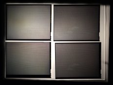 Newest ScreenPlates.jpg