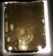 holmburgers - Failed Screen Plate Positive.JPG