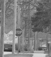 Stop signs 500mm lens.jpg