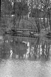 Bridge and pond.jpg