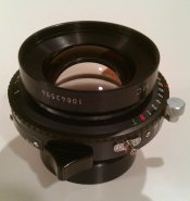 IMAG7466-1.jpg